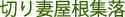 �؂�ȉ����W��
